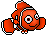 Clown Fish