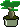 Bonsi