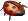 Ladybug 4