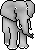 Elephant 2