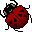 Ladybug