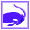 Capricorn