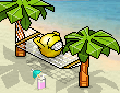Hammock