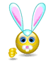 Bunny Face