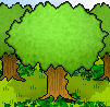 Pooping In The Woods