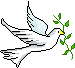 Dove
