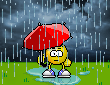 Rainy