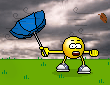 Windy