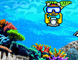 Reef