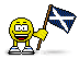 Scottish Flag